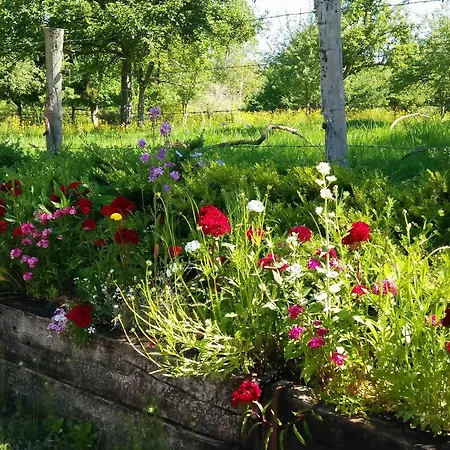 Superb Barn Conversion In The Golden Triangle Pont L'eveque-honfleur-deauville
